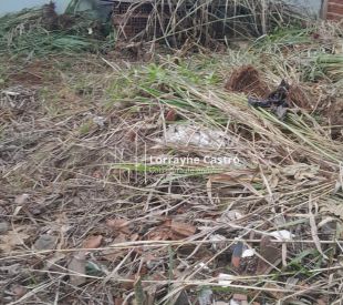 WhatsApp Image 2026-02-06 at 10.48.51 (1)