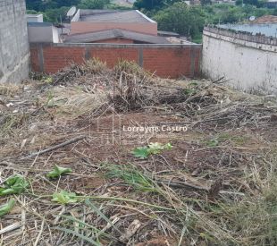 WhatsApp Image 2026-02-06 at 10.48.51