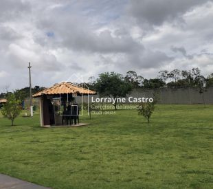 WhatsApp Image 2026-02-12 at 11.20.38 (2)