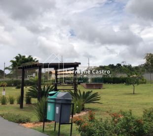 WhatsApp Image 2026-02-12 at 11.20.38 (3)