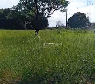 WhatsApp Image 2026-02-19 at 13.34.51