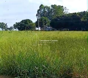 WhatsApp Image 2026-02-19 at 13.34.52