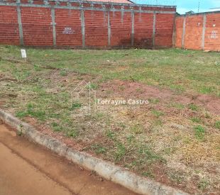 WhatsApp Image 2026-03-07 at 10.41.18