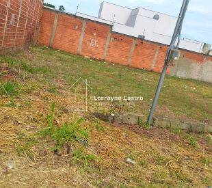 WhatsApp Image 2026-03-07 at 10.41.18 (2)