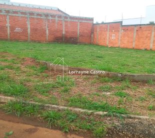 WhatsApp Image 2026-03-07 at 10.41.19